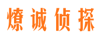 扶沟市场调查